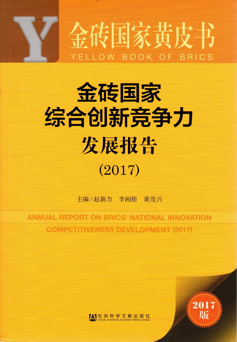 操我操的好舒服在线看金砖国家综合创新竞争力发展报告（2017）